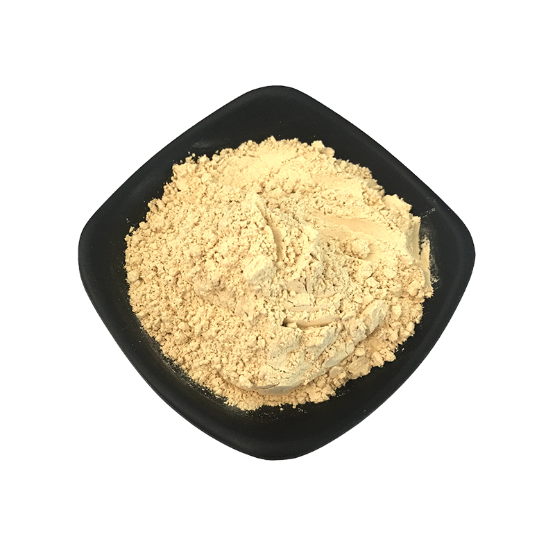 ডিহাইড্রেটেড রসুনের গুঁড়ো